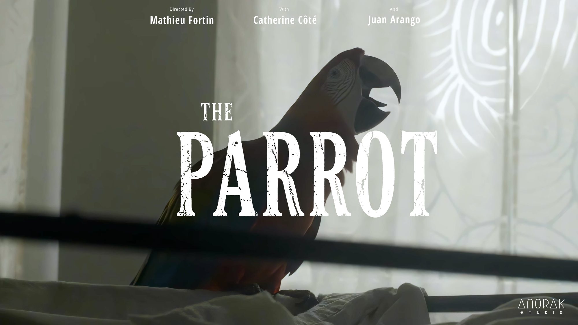 The Parrot, image 1