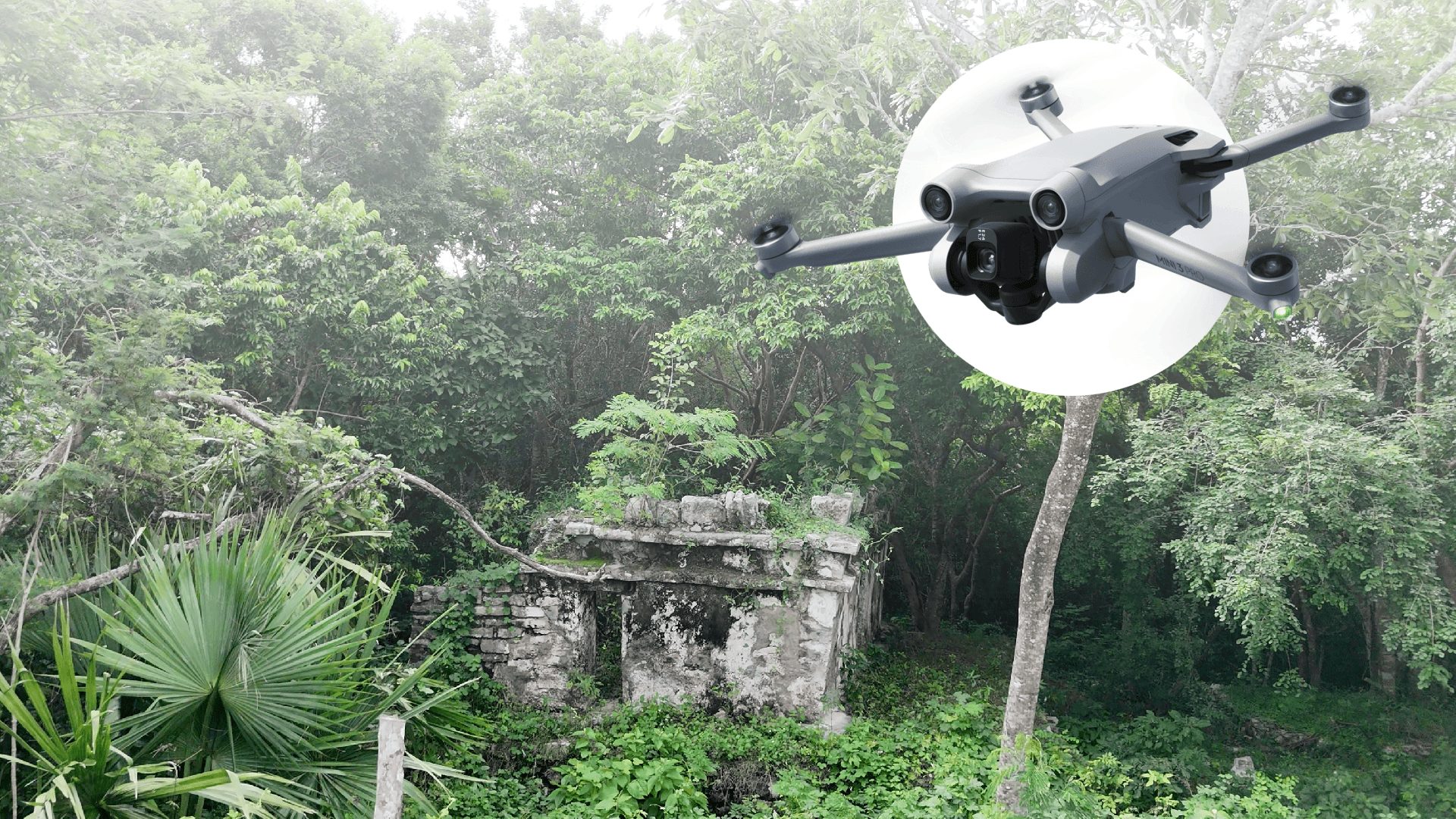 Prises de vues par drone